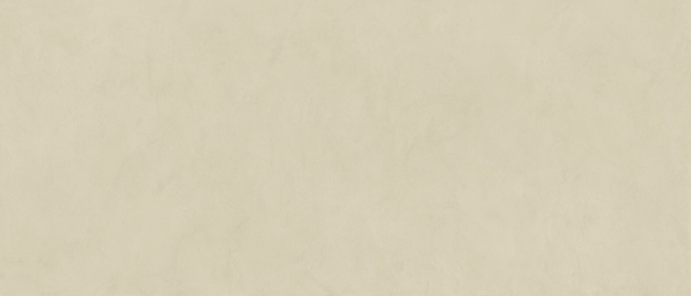 TERRA BEIGE - Ảnh 4